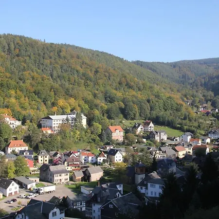 Hotel Schwarzaburg 3*