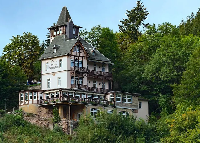 Отель Schwarzaburg 3*